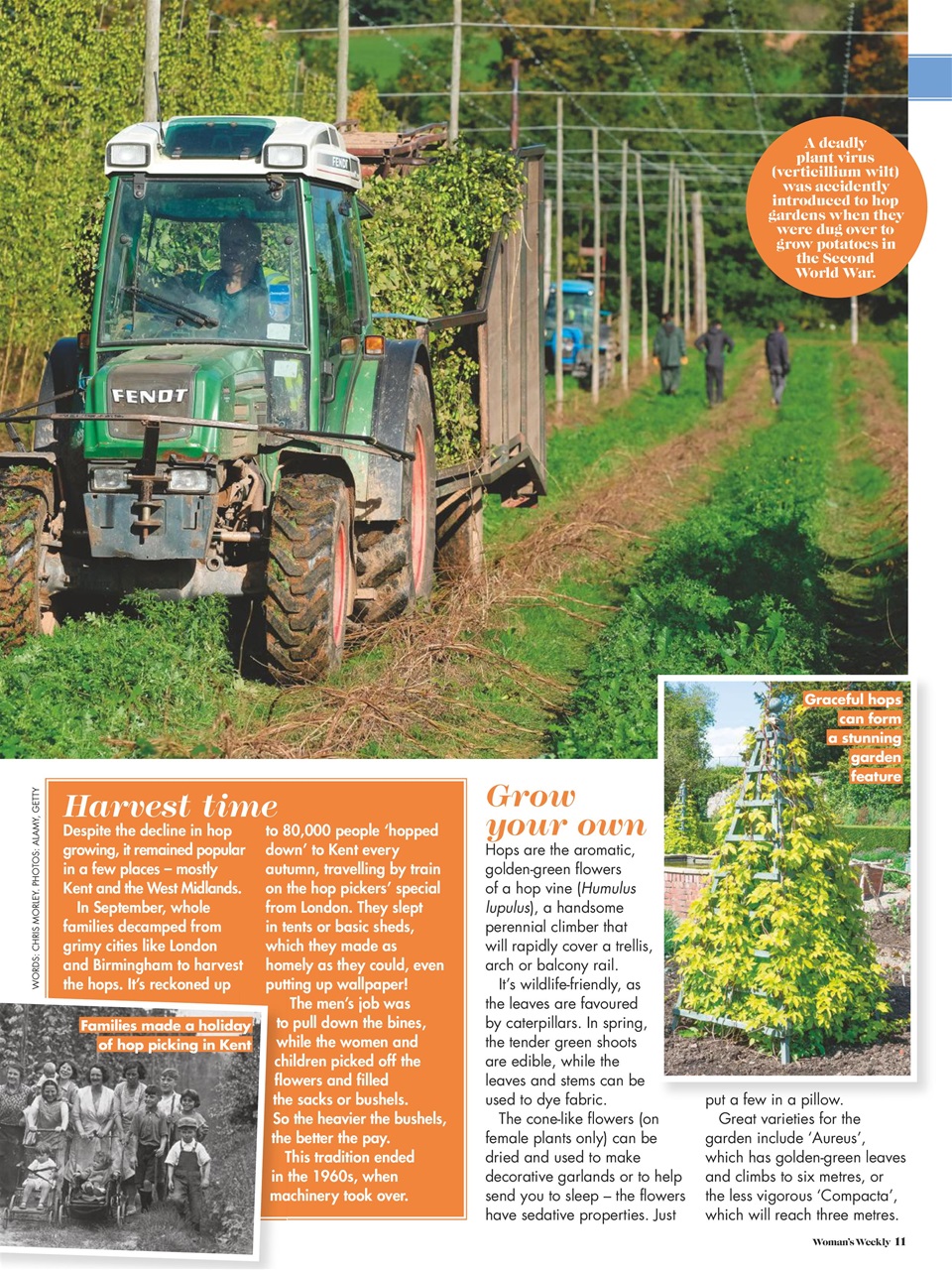 Woman's Weekly Preview Pages