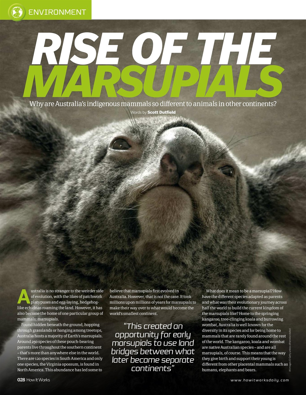 How It Works Preview Pages