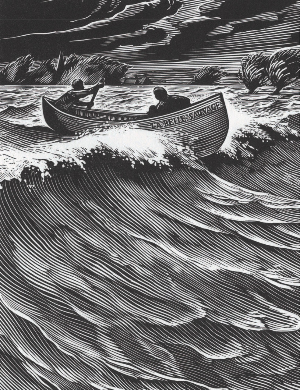 Quercus Preview Pages