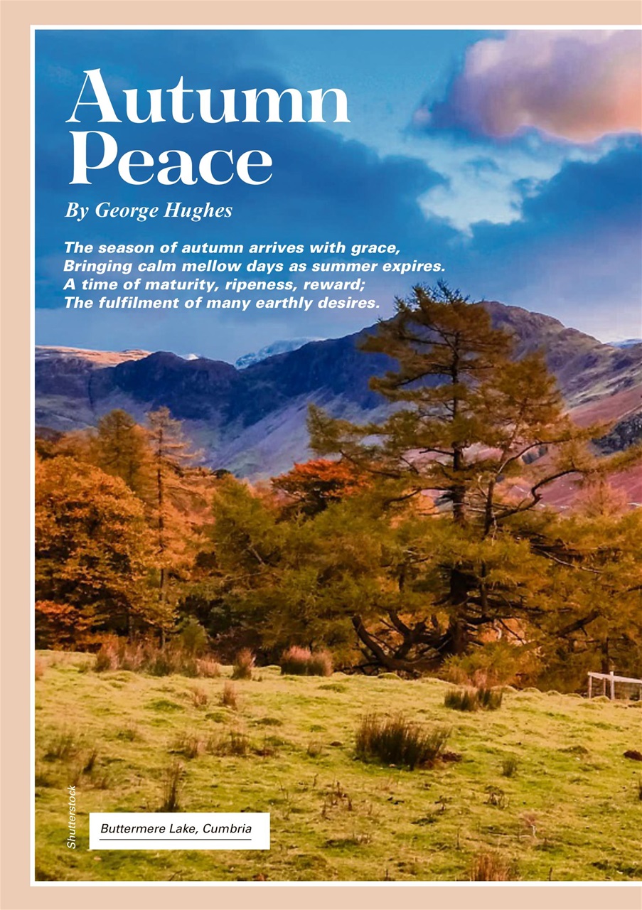 Evergreen Preview Pages