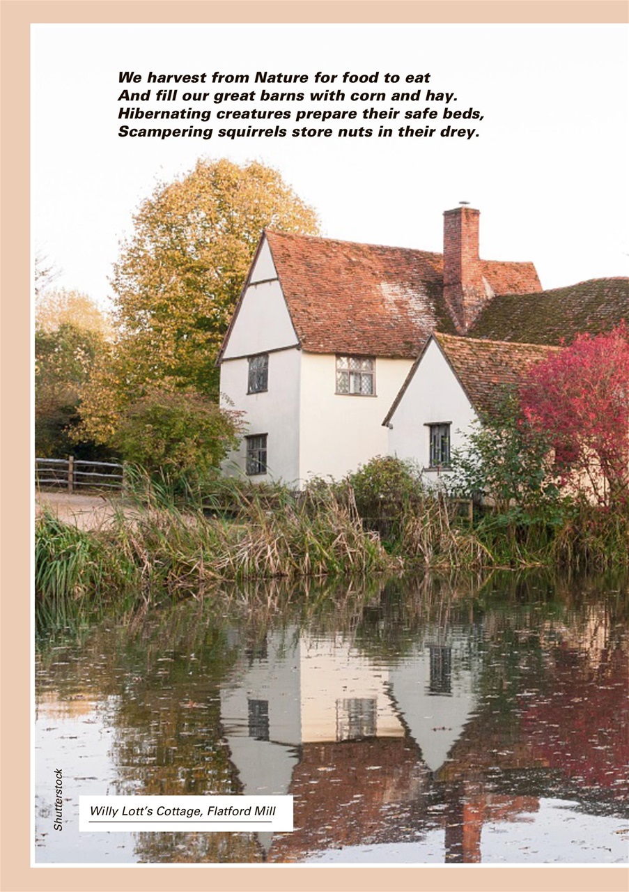 Evergreen Preview Pages