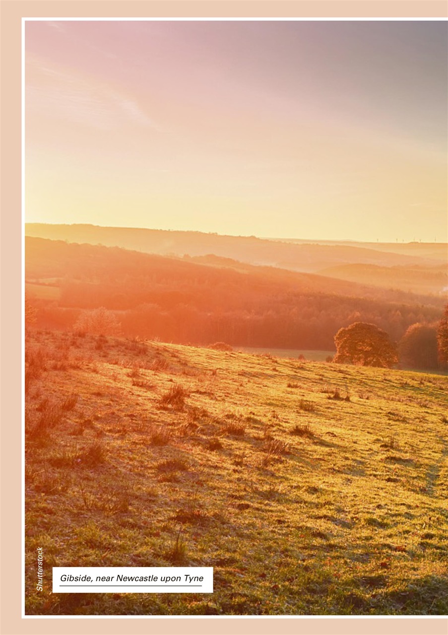 Evergreen Preview Pages