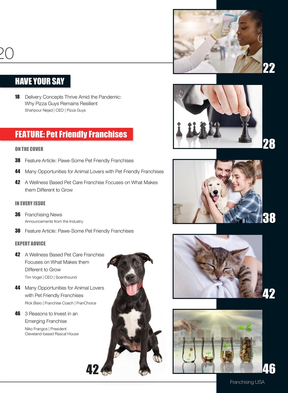 Franchising USA Preview Pages