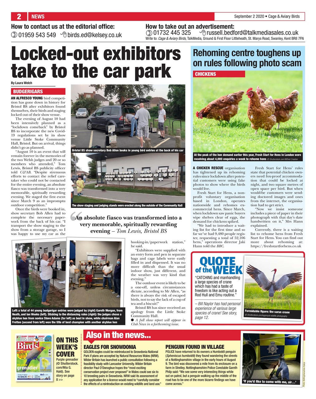 Cage & Aviary Birds Preview Pages