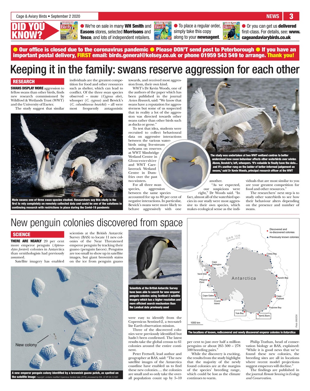 Cage & Aviary Birds Preview Pages