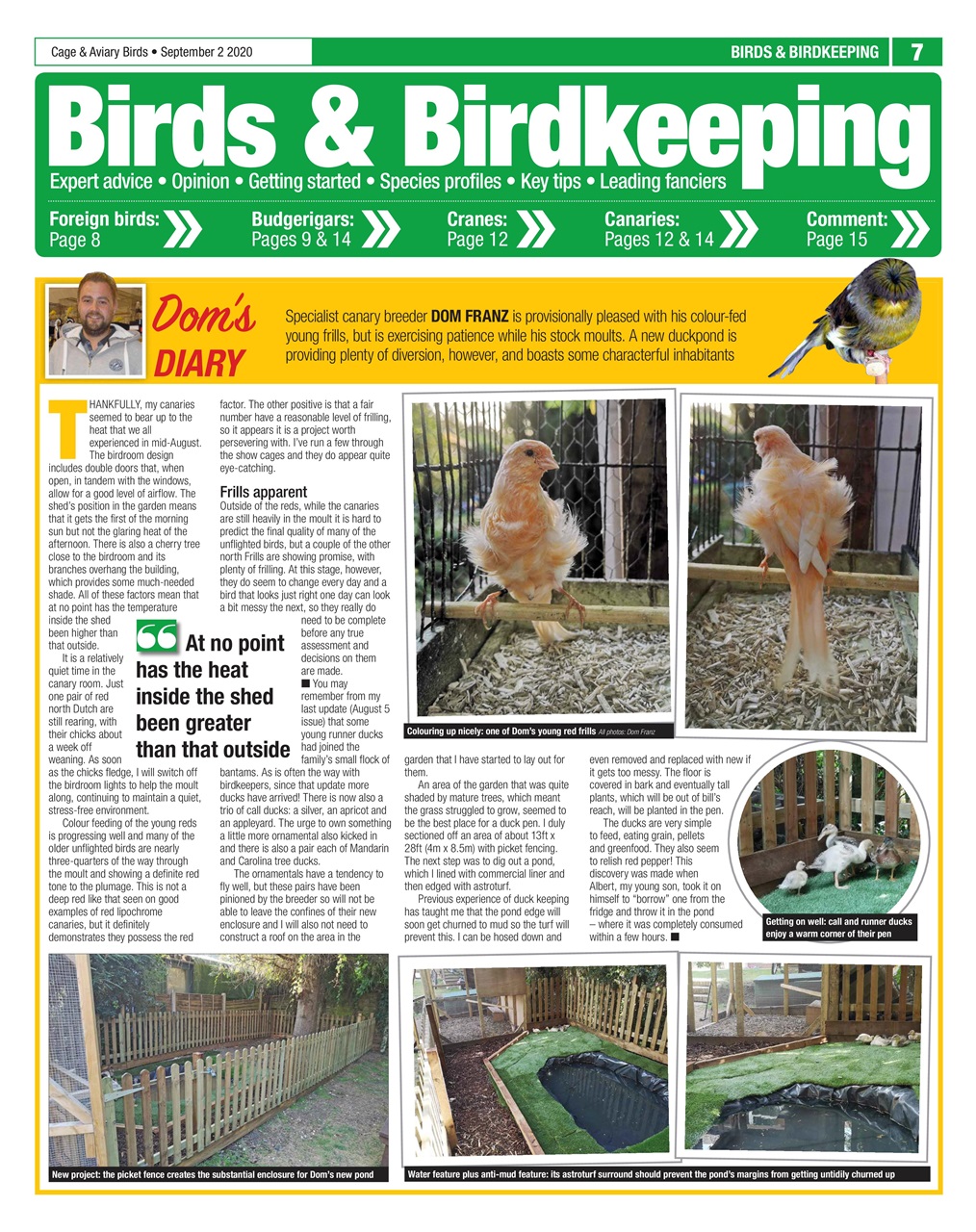 Cage & Aviary Birds Preview Pages