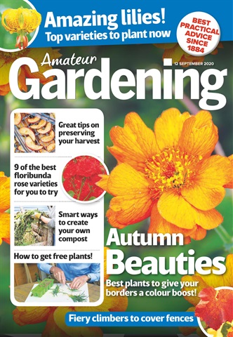 Amateur Gardening issue 12-Sep-2020