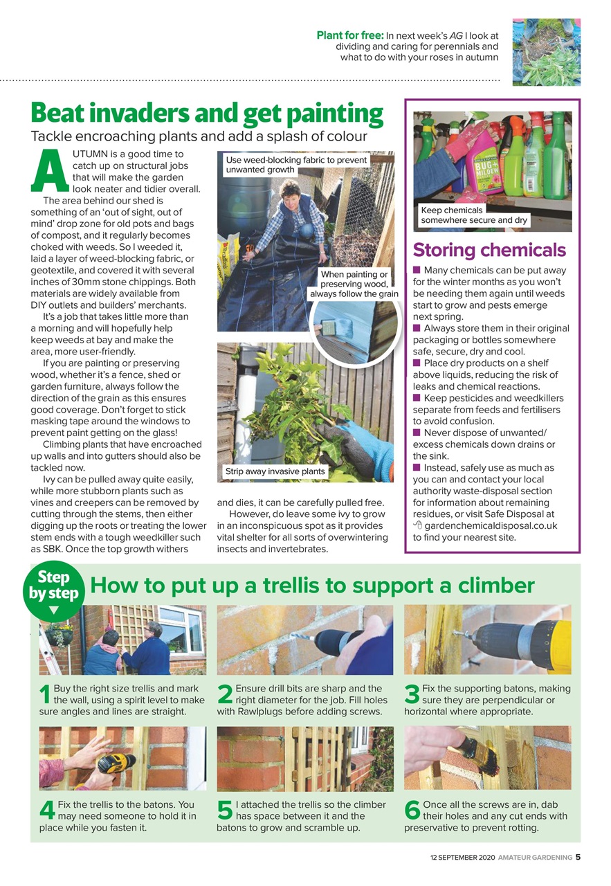 Amateur Gardening Preview Pages