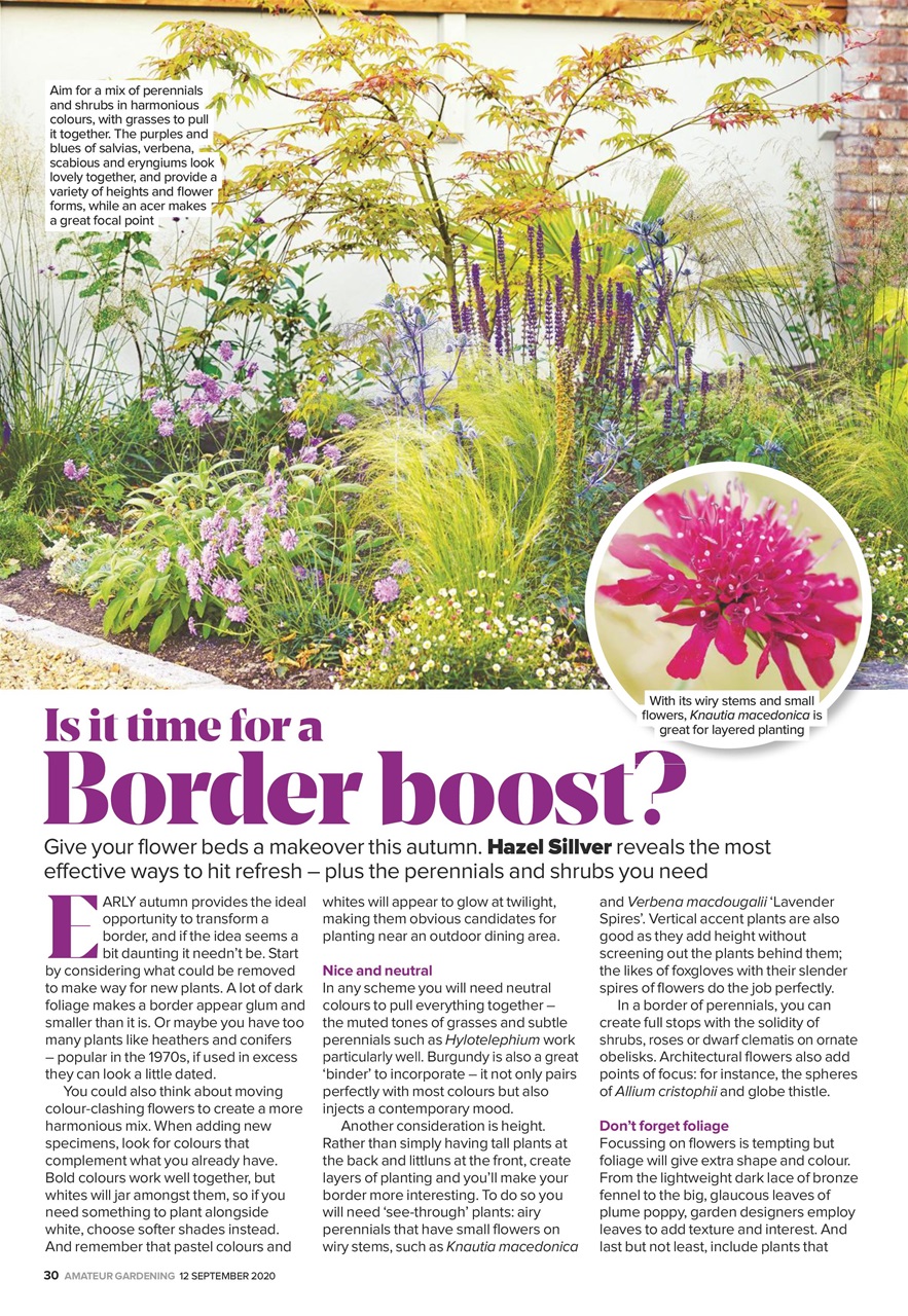 Amateur Gardening Preview Pages