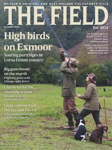 The Field issue Oct-2020