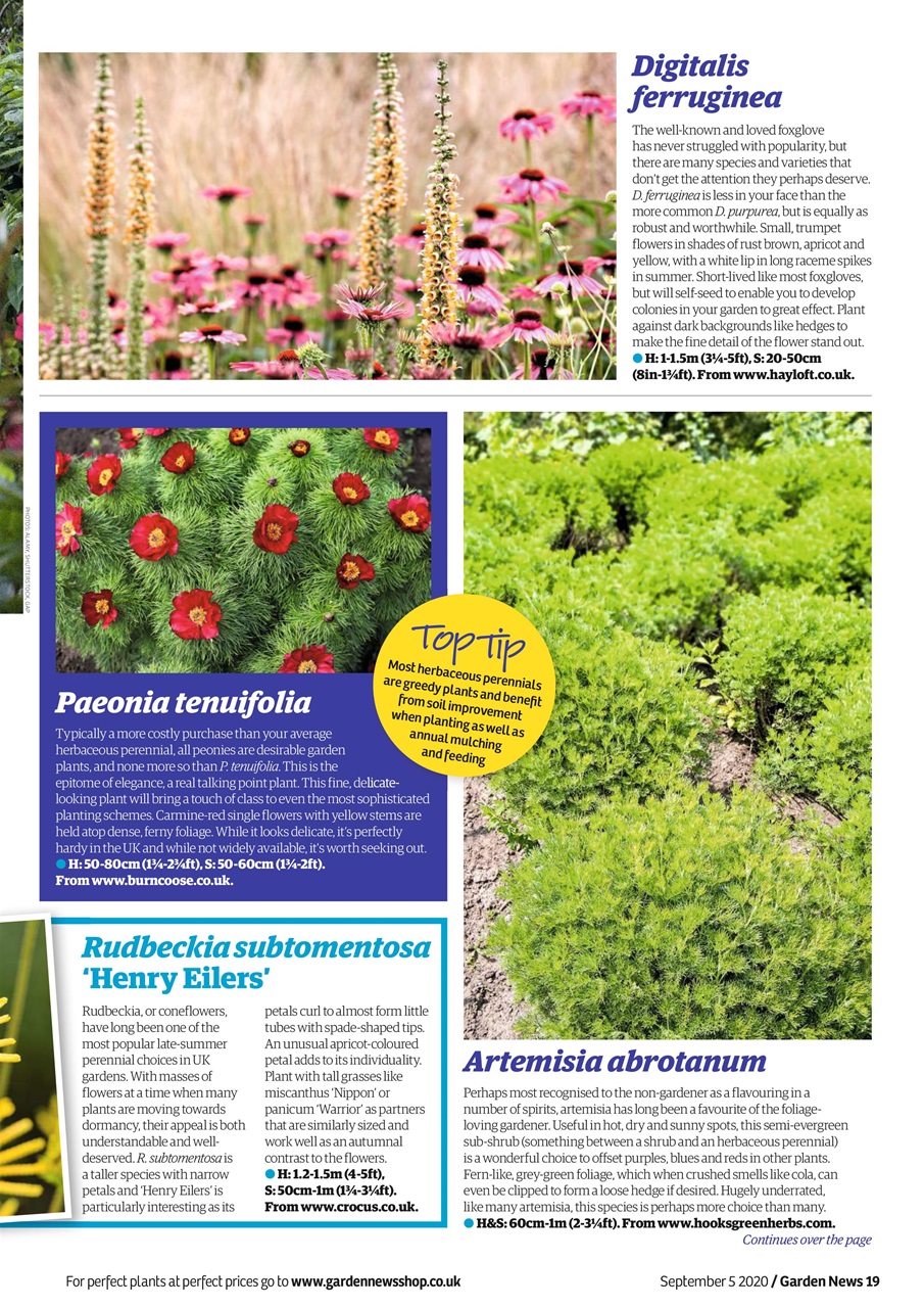 Garden News Preview Pages