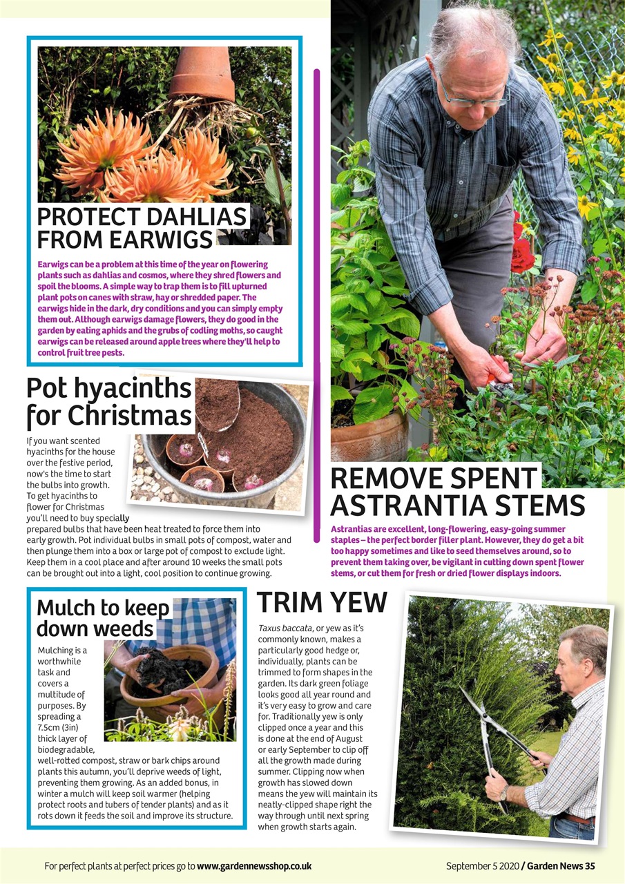 Garden News Preview Pages