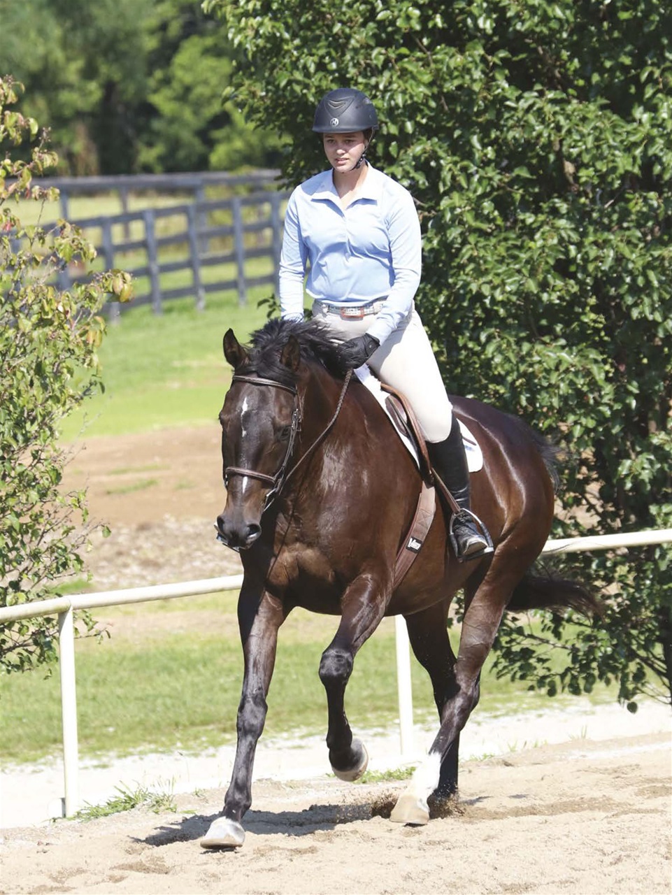 Young Rider Magazine Preview Pages