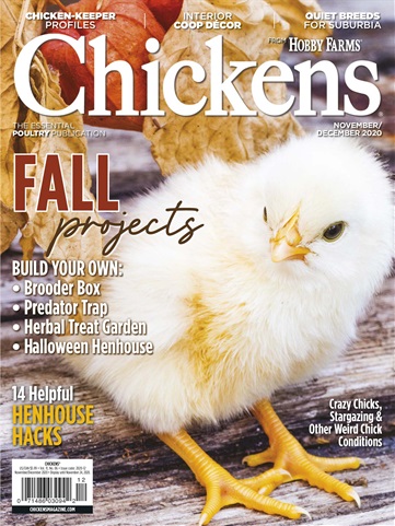 Chickens Magazine issue Nov/Dec 2020