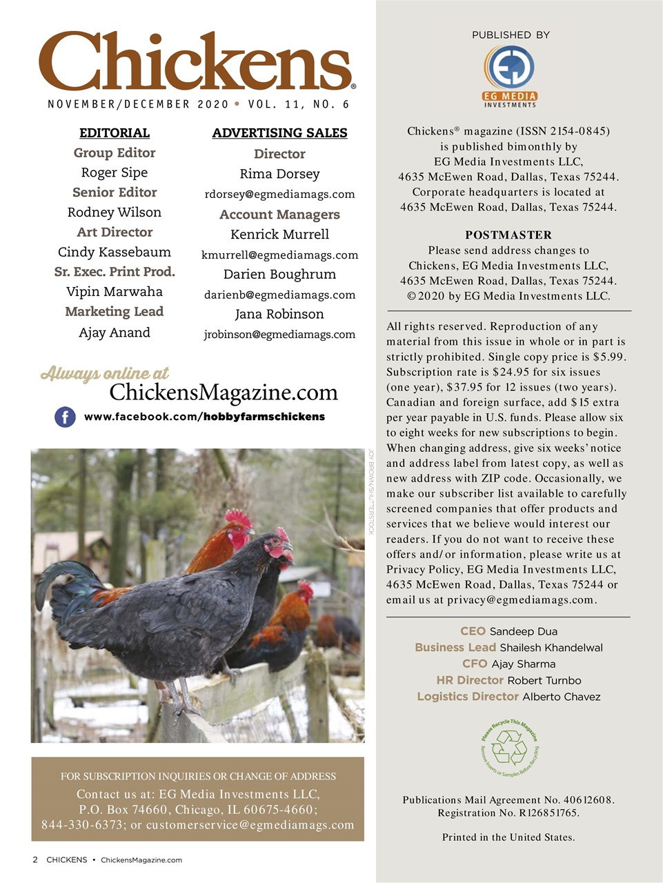 Chickens Magazine Preview Pages