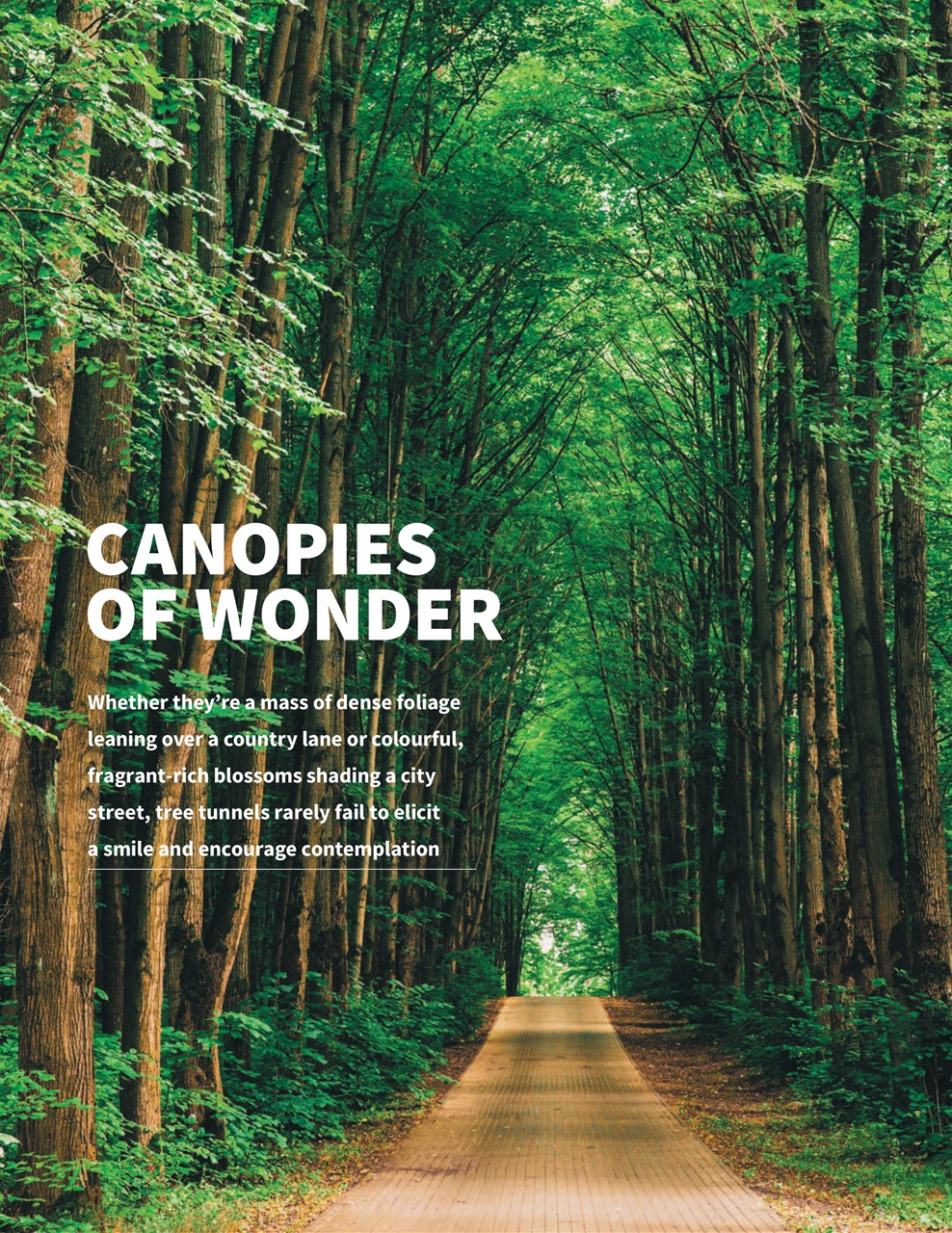 Woodworking Crafts Magazine Preview Pages