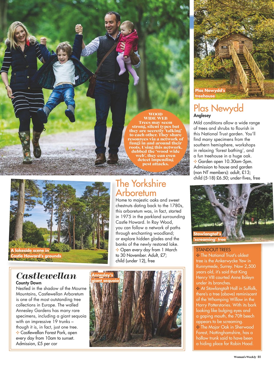 Woman's Weekly Preview Pages