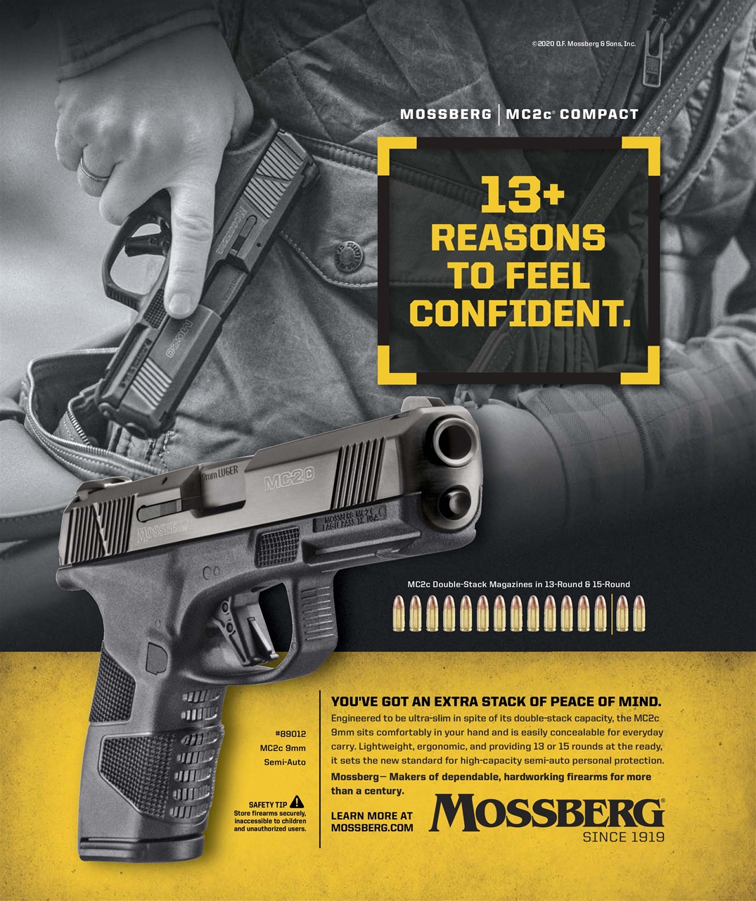 American Outdoor Guide: Boundless Preview Pages