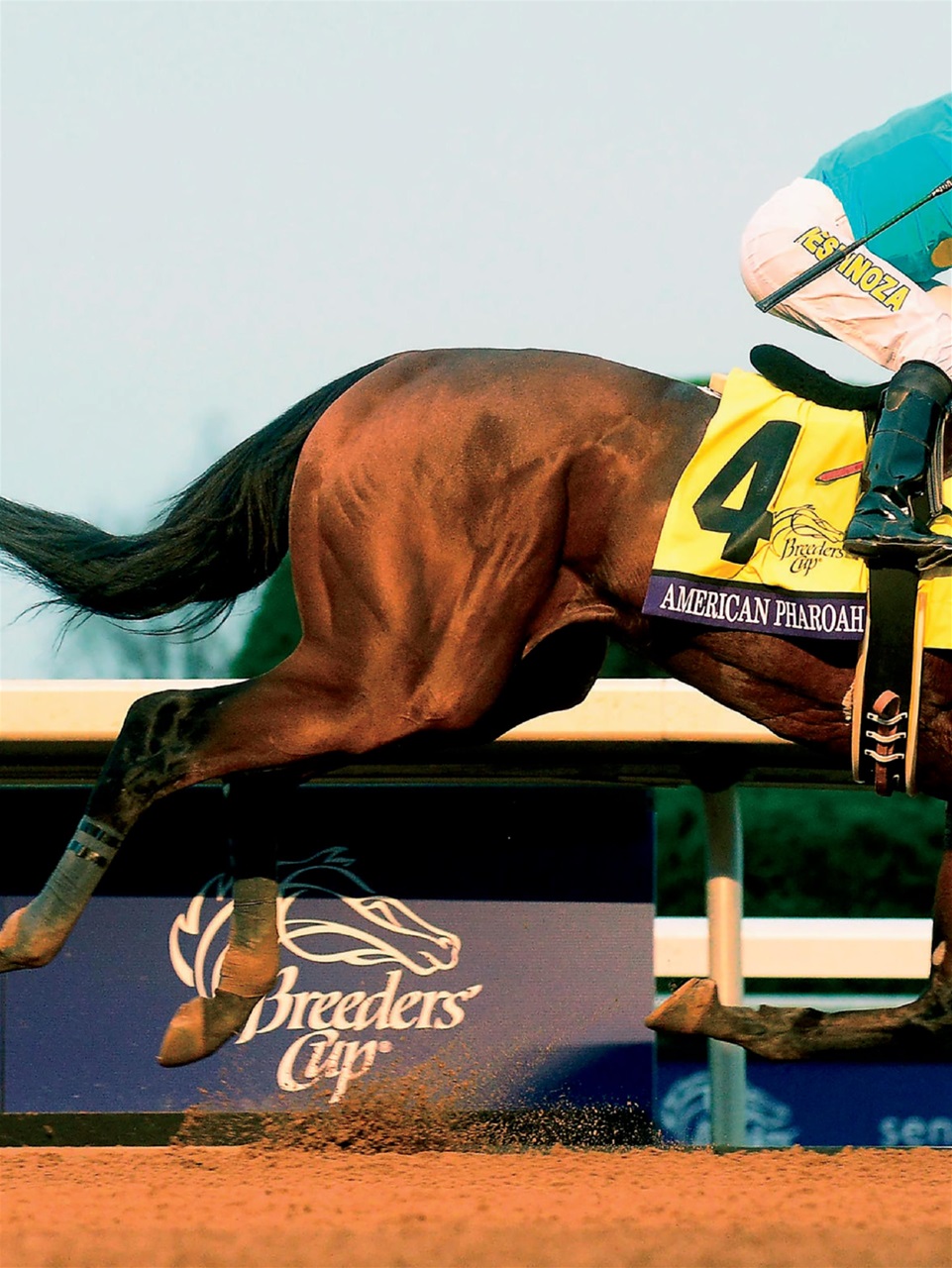 Sports Illustrated Preview Pages