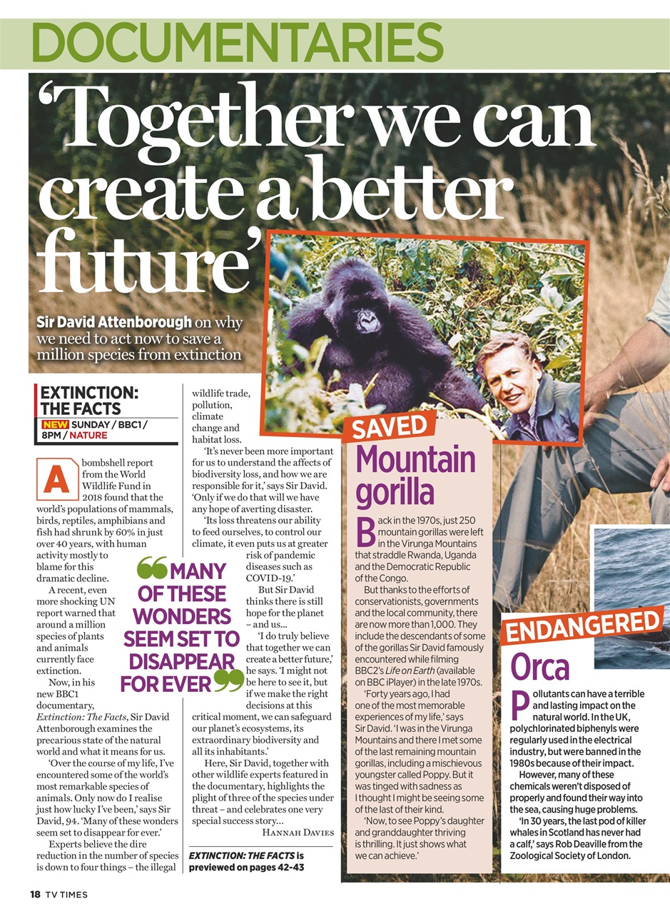 TV Times Preview Pages