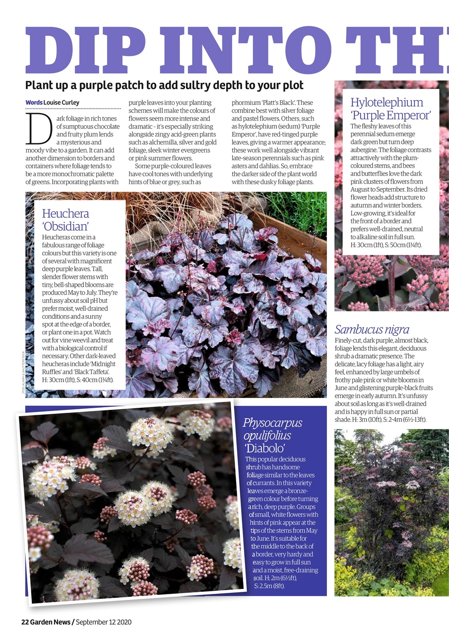 Garden News Preview Pages