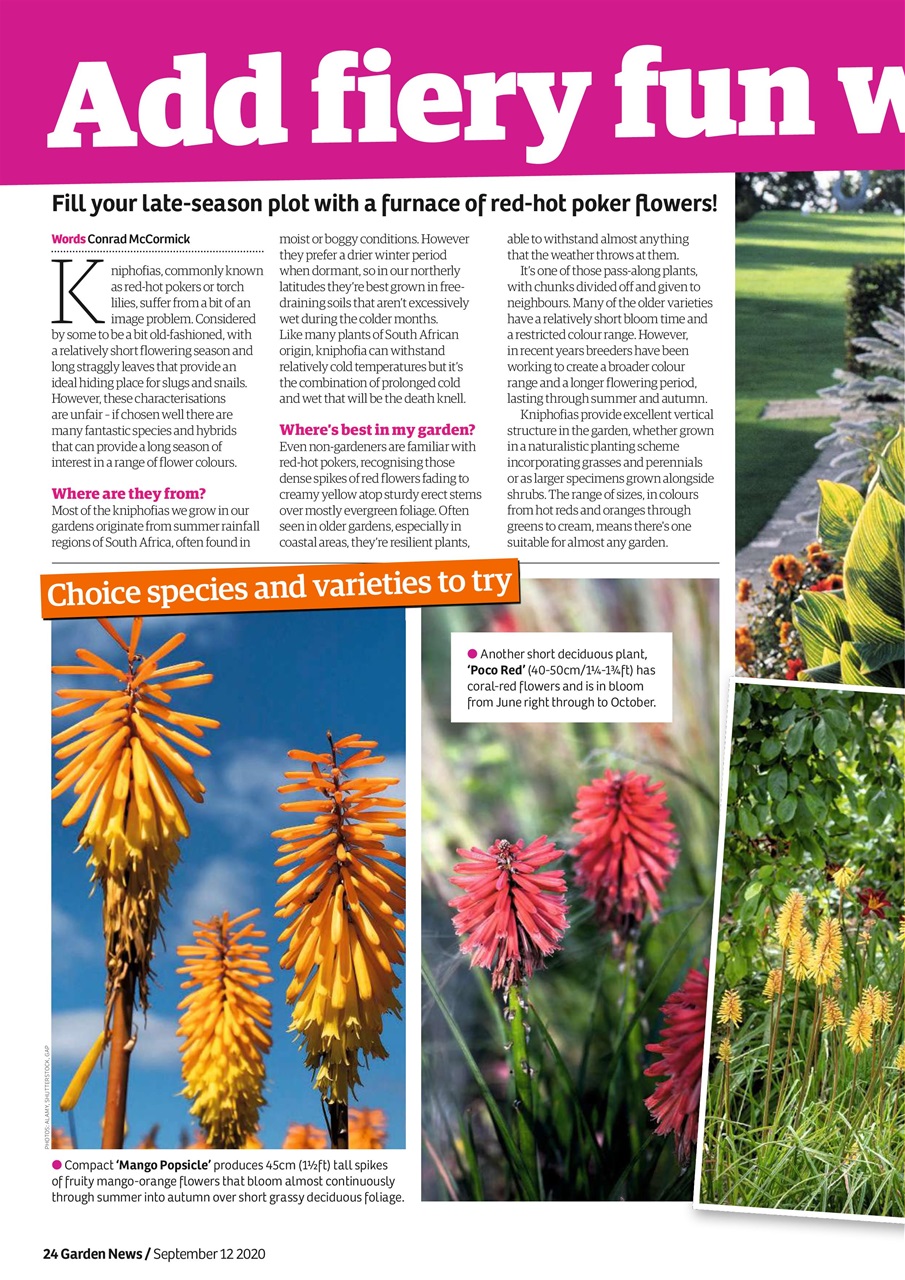 Garden News Preview Pages