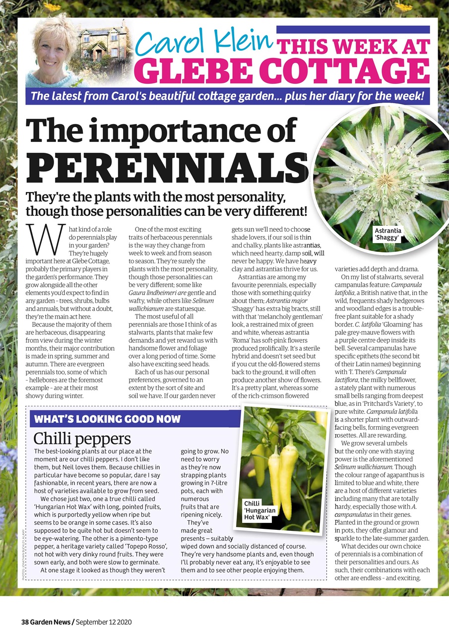 Garden News Preview Pages