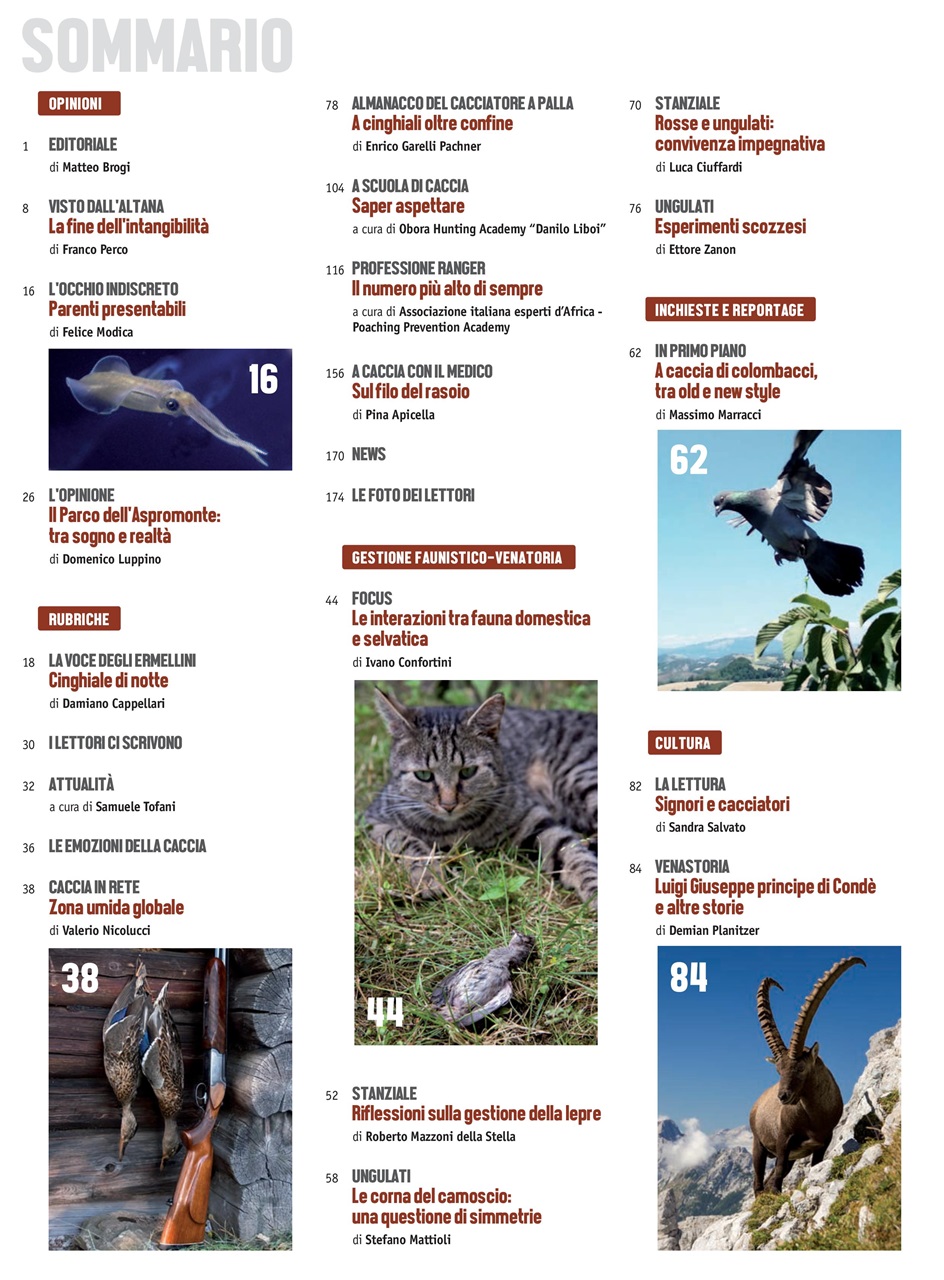 Caccia Magazine Preview Pages
