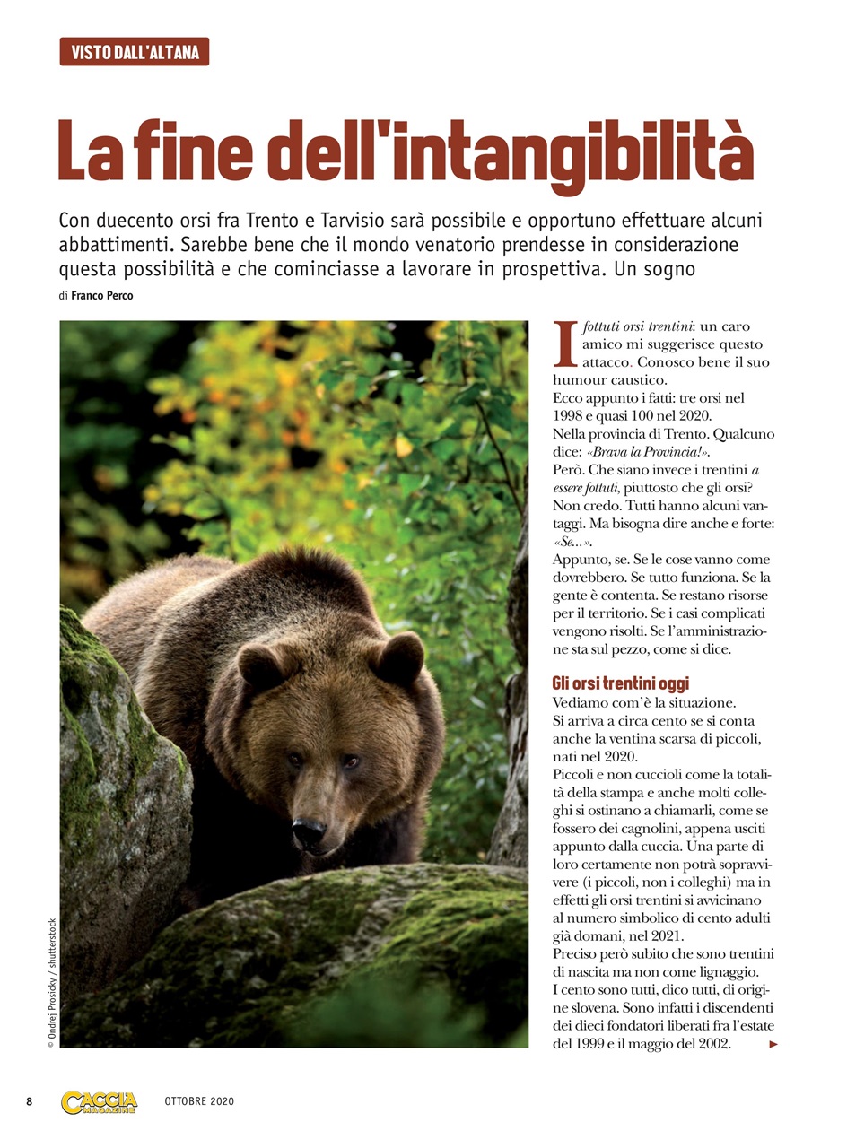 Caccia Magazine Preview Pages