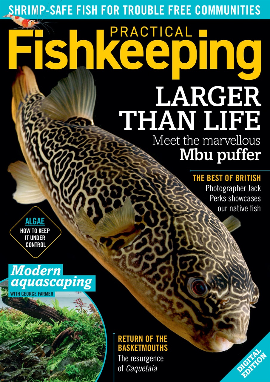 Practical Fishkeeping Preview Pages