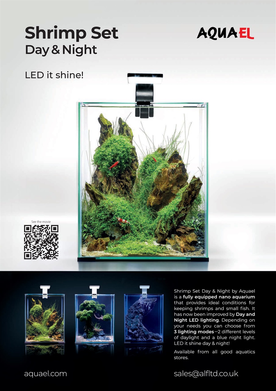 Practical Fishkeeping Preview Pages