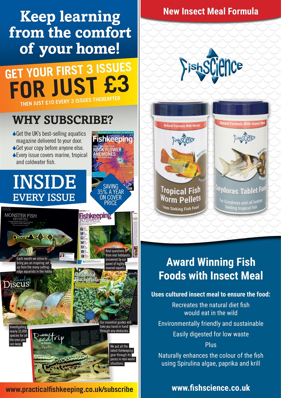 Practical Fishkeeping Preview Pages