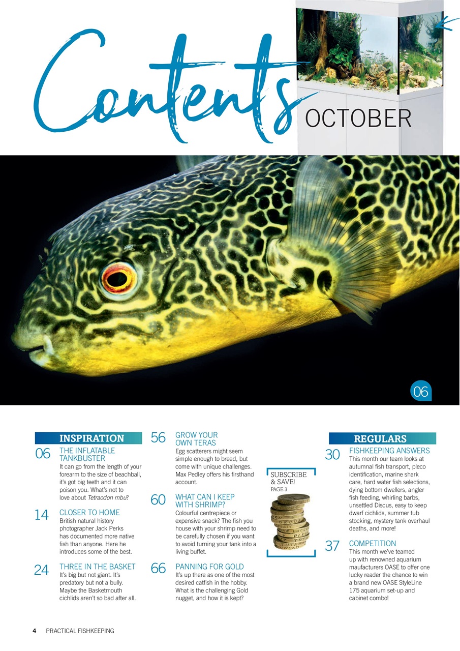 Practical Fishkeeping Preview Pages