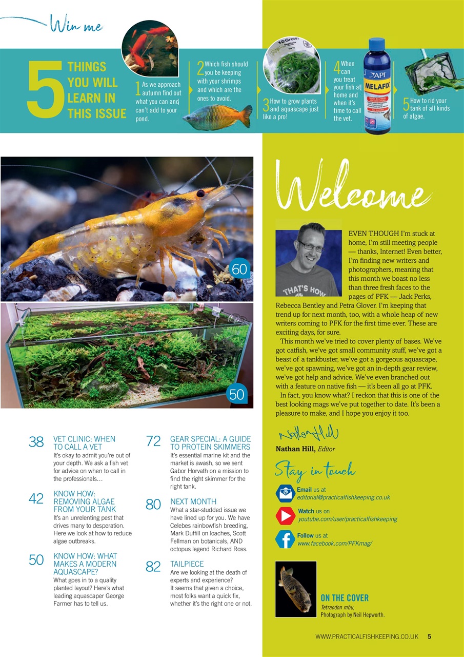 Practical Fishkeeping Preview Pages
