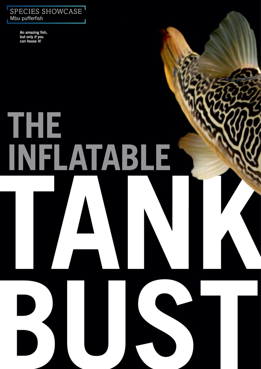 Practical Fishkeeping Preview Pages