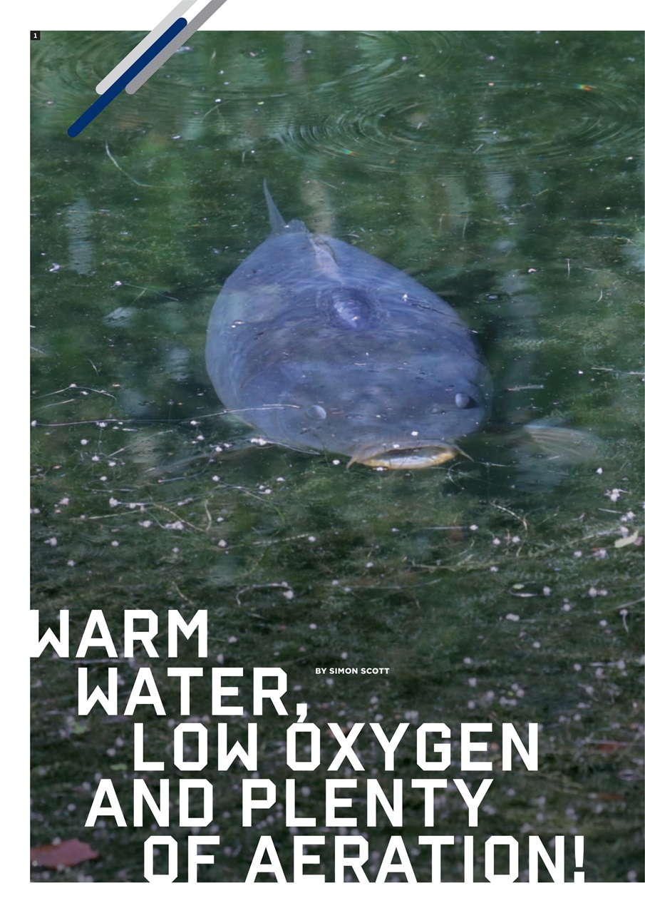 CARPology Magazine Preview Pages