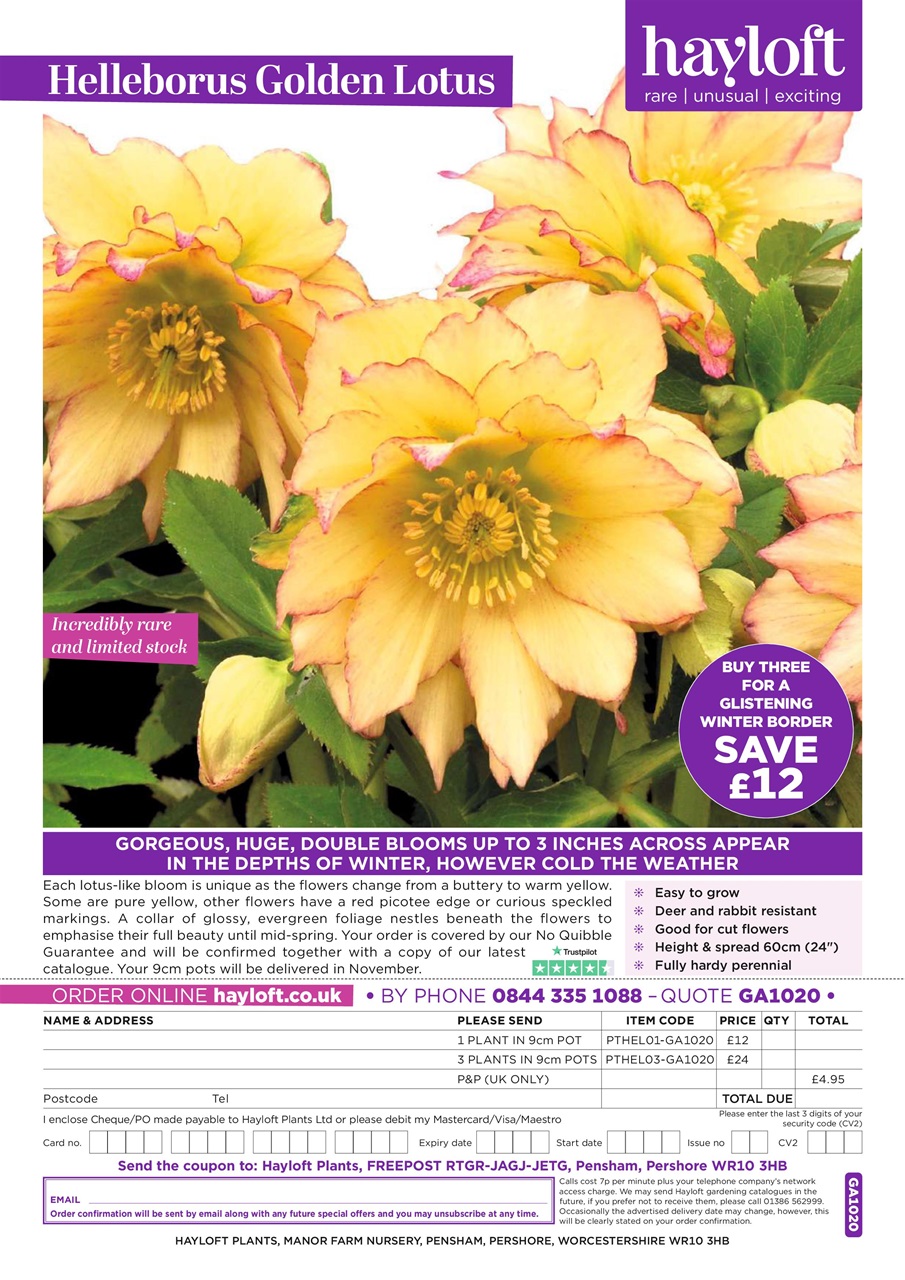 Garden Answers Preview Pages