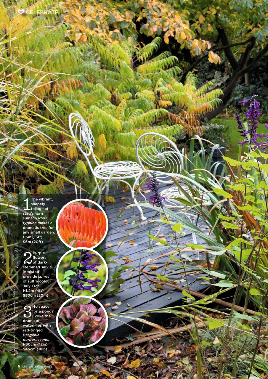 Garden Answers Preview Pages