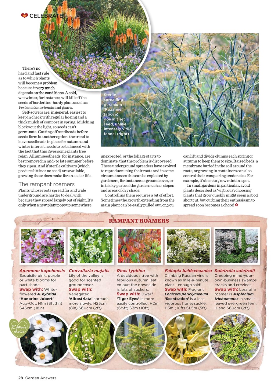 Garden Answers Preview Pages