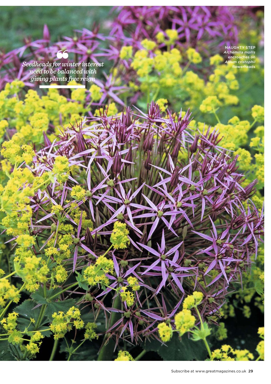 Garden Answers Preview Pages