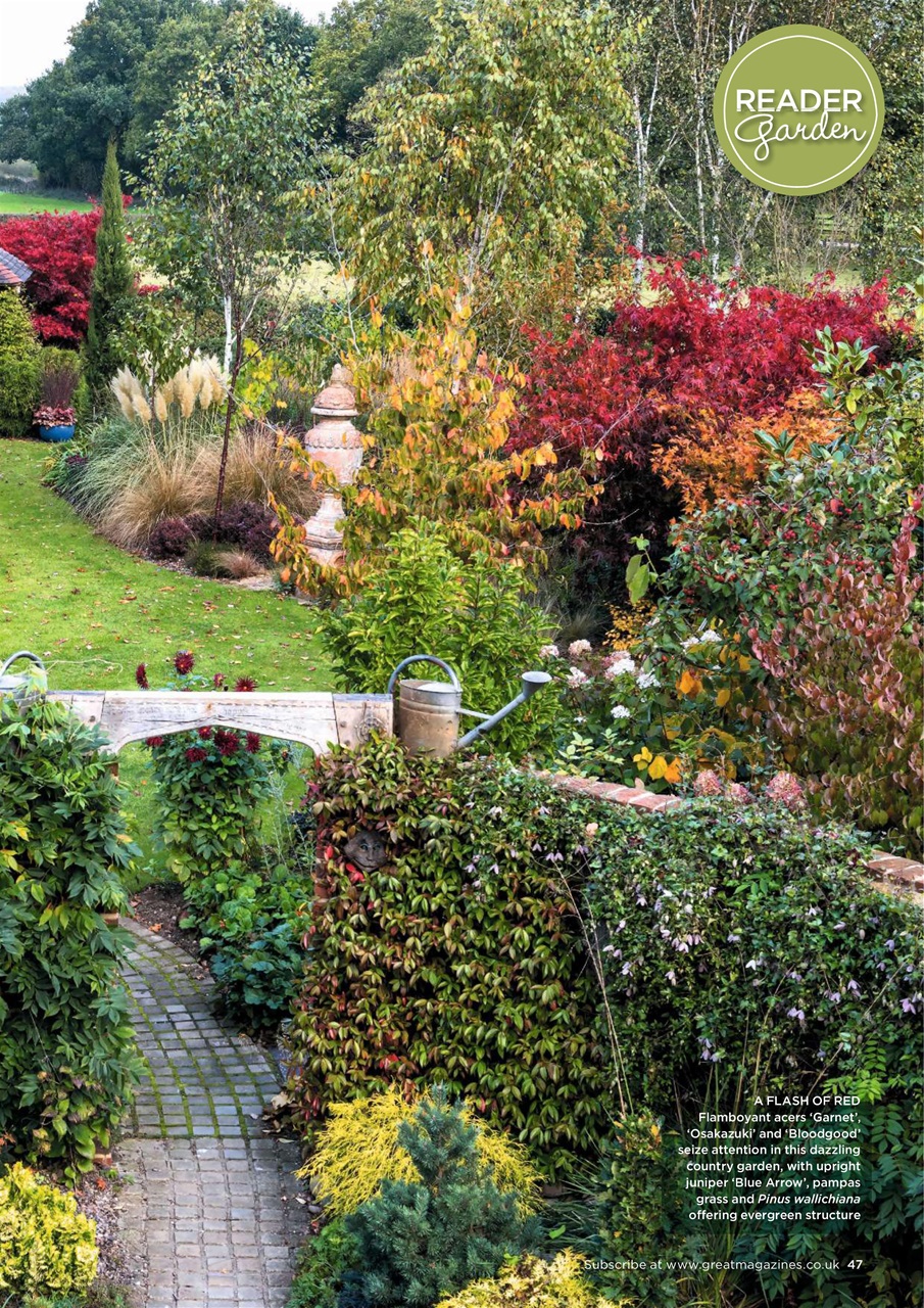 Garden Answers Preview Pages