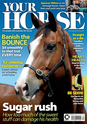 Your Horse issue 
