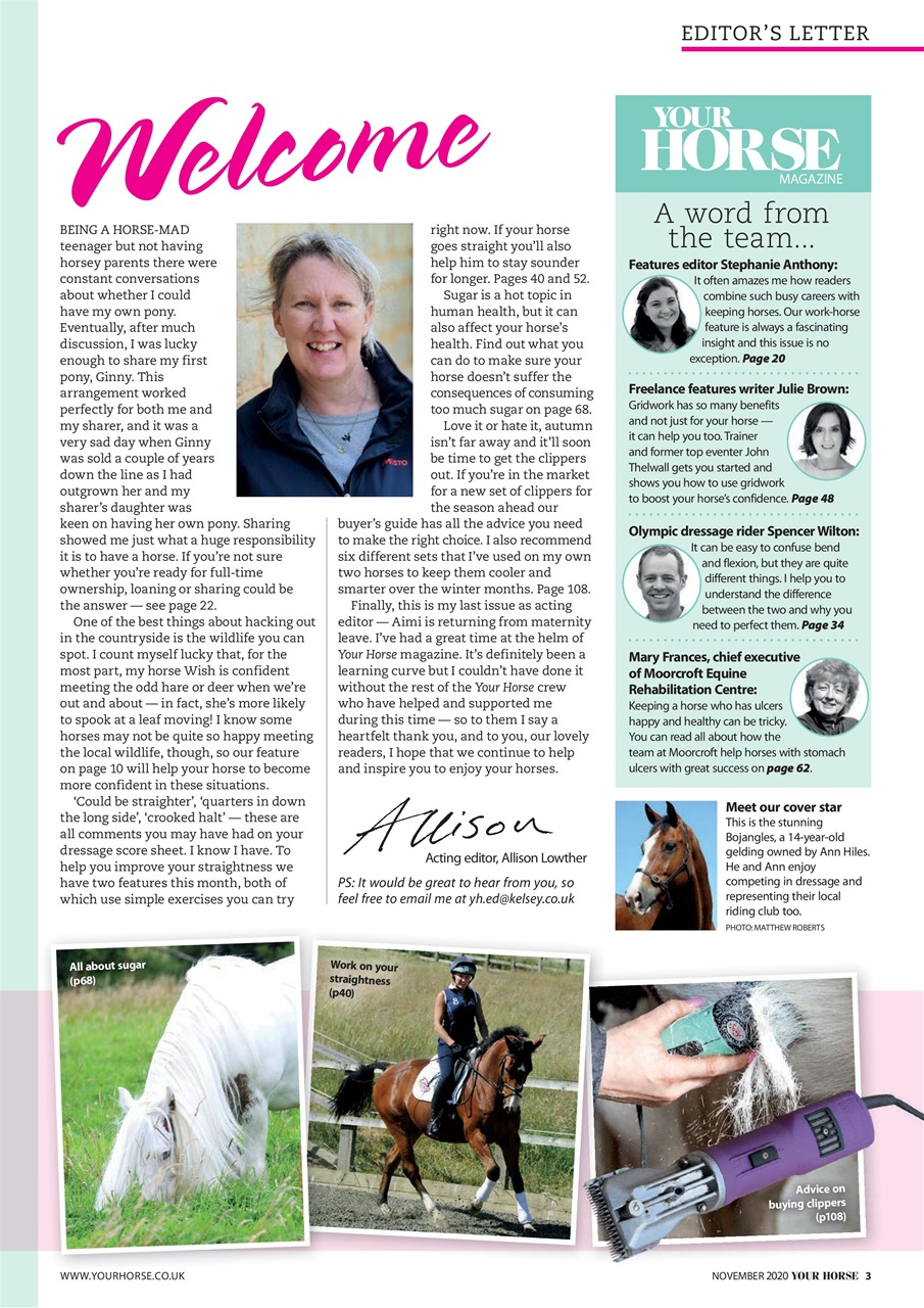 Your Horse Preview Pages