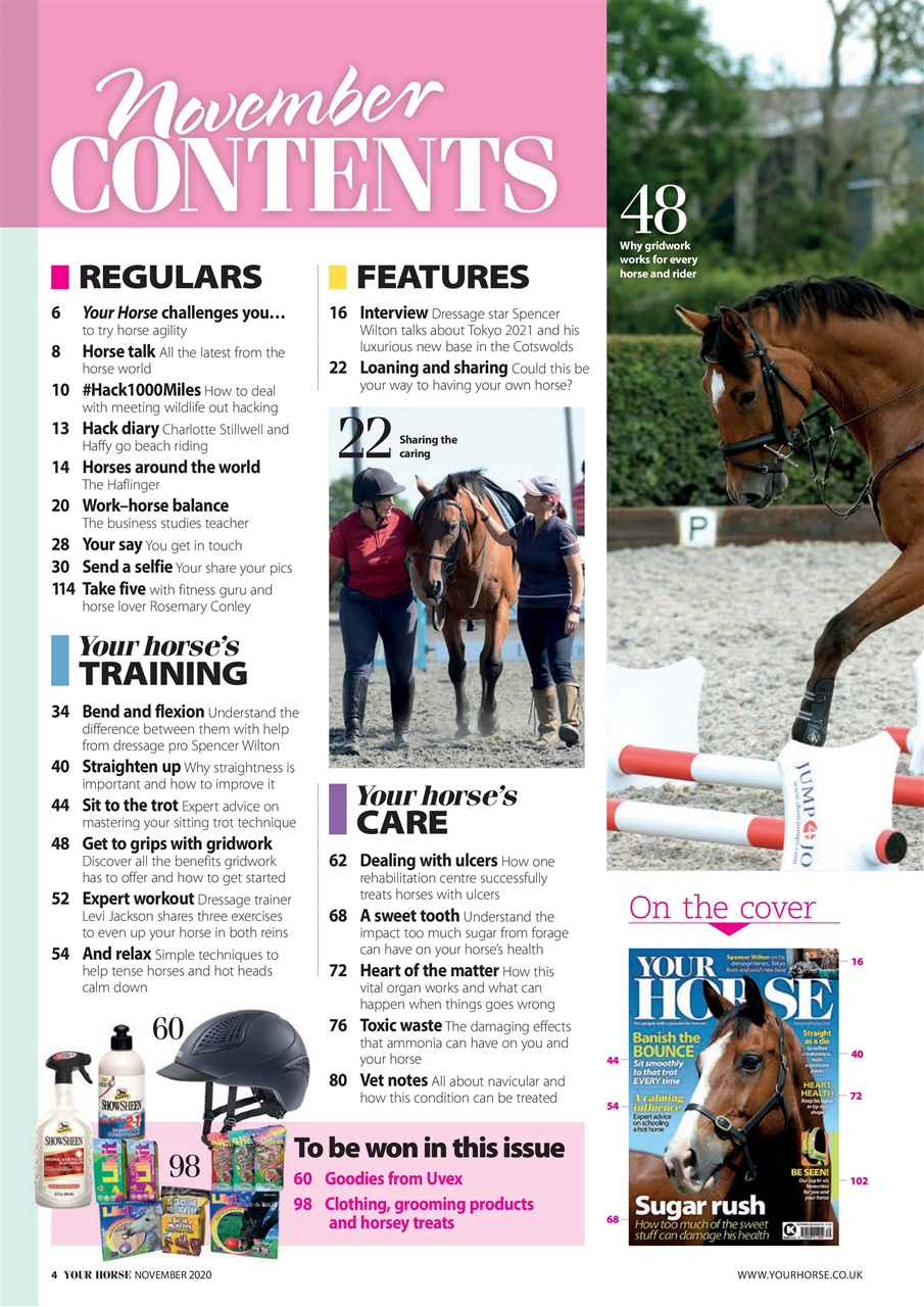 Your Horse Preview Pages