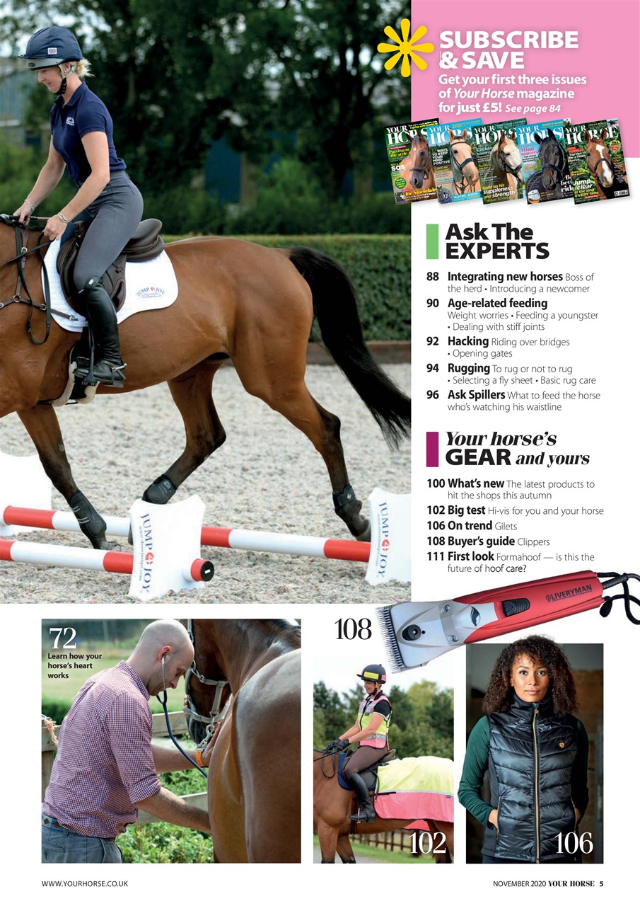Your Horse Preview Pages
