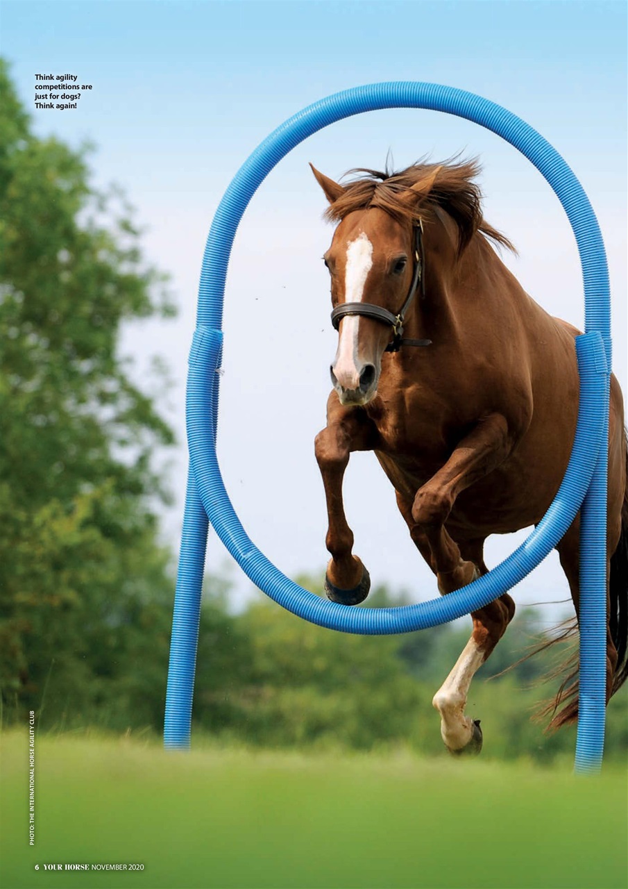Your Horse Preview Pages