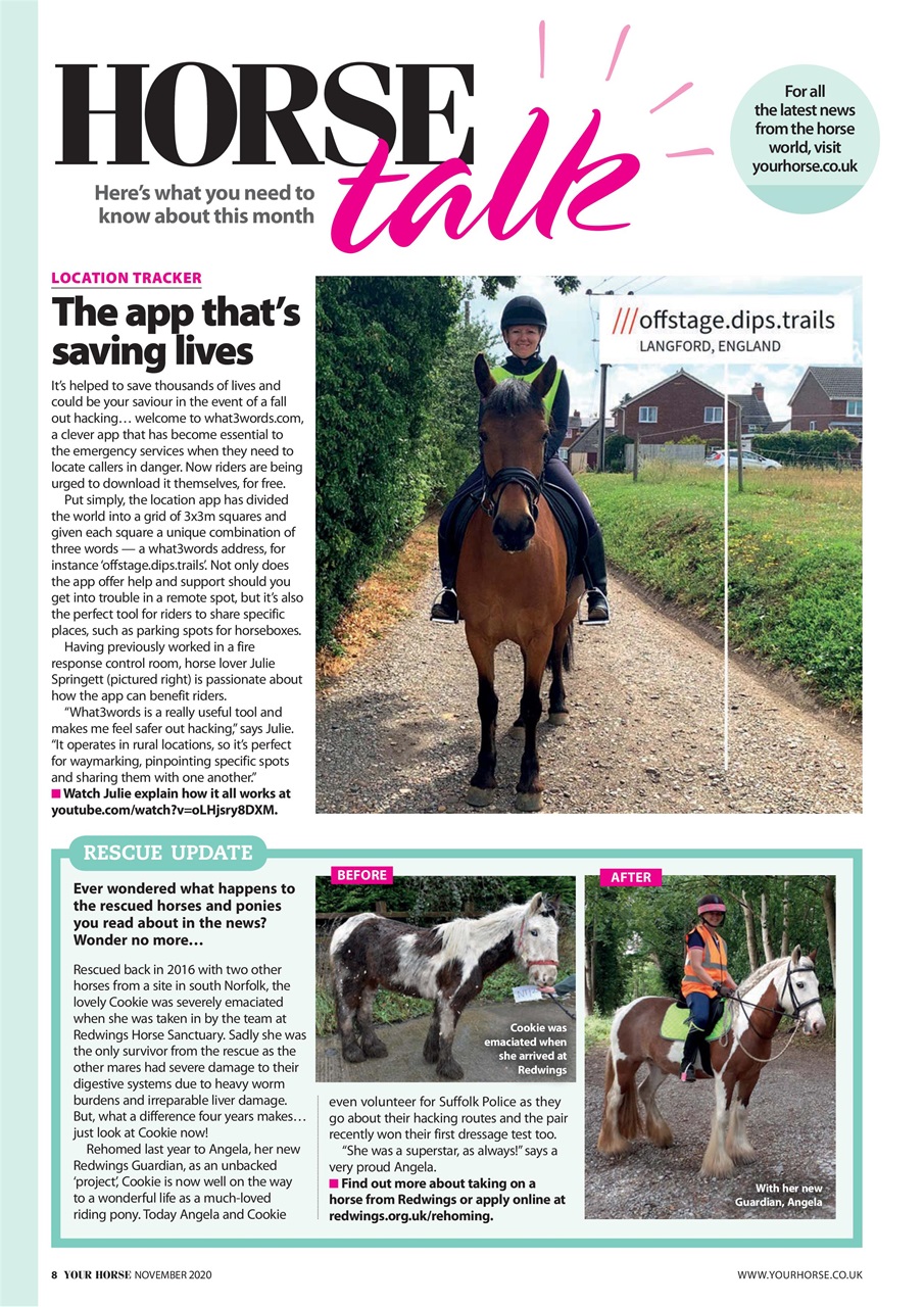 Your Horse Preview Pages