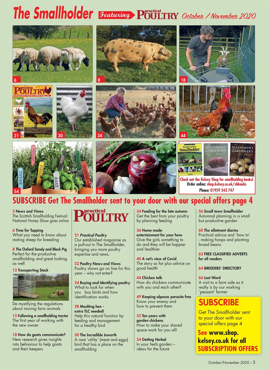 The Smallholder Preview Pages