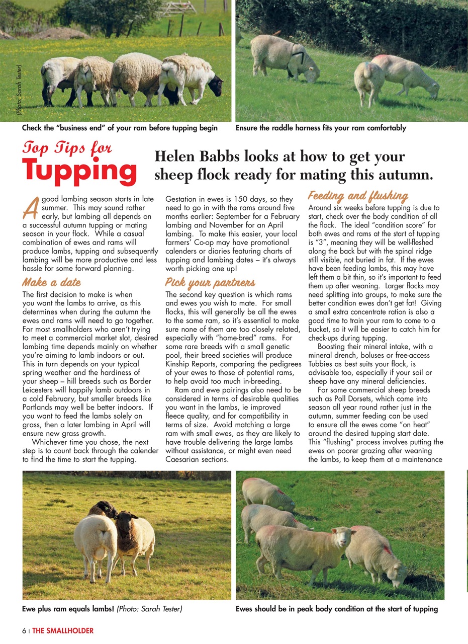 The Smallholder Preview Pages