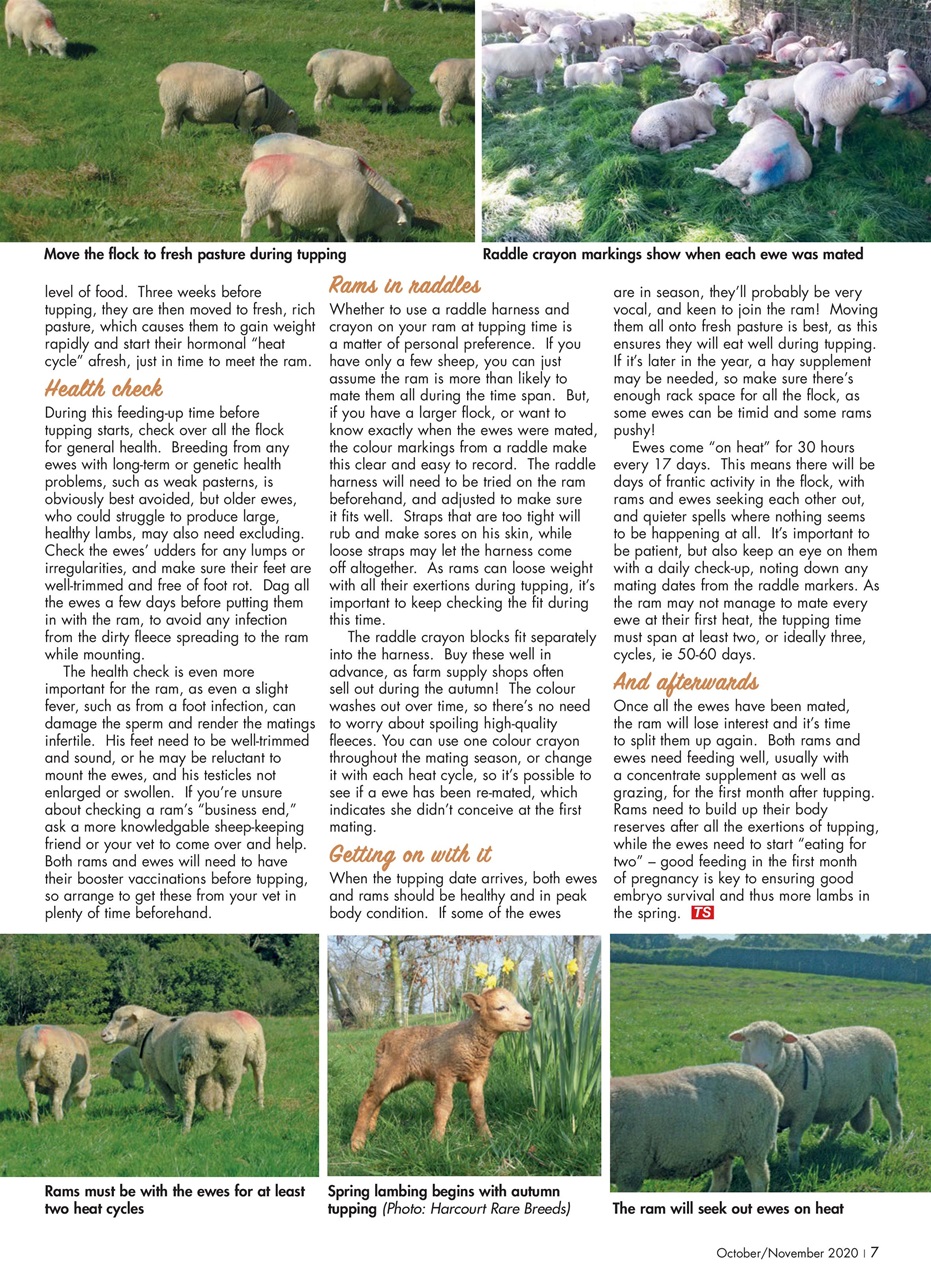 The Smallholder Preview Pages